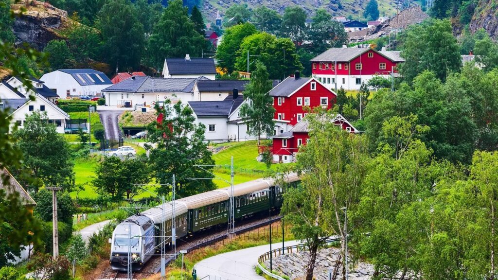 viajes-para-singles-a-los-fiordos-tren-de-flam