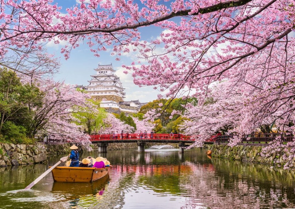 viajar-a-japon-tokio-cerezos-en-flor